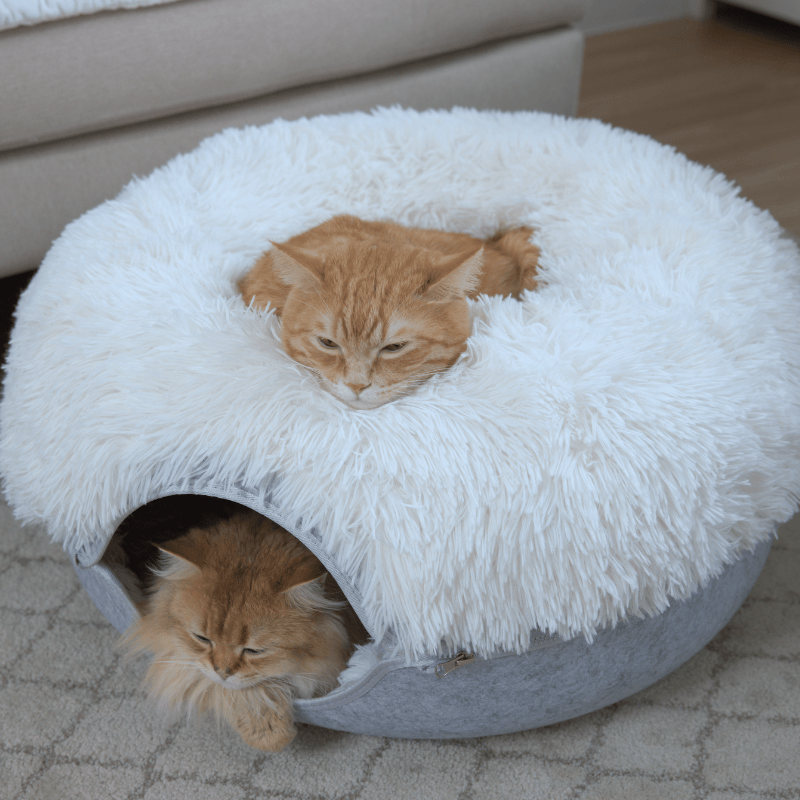 Cattasaurus™️ Calming Donut