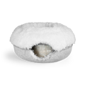 Cattasaurus™️ Calming Donut