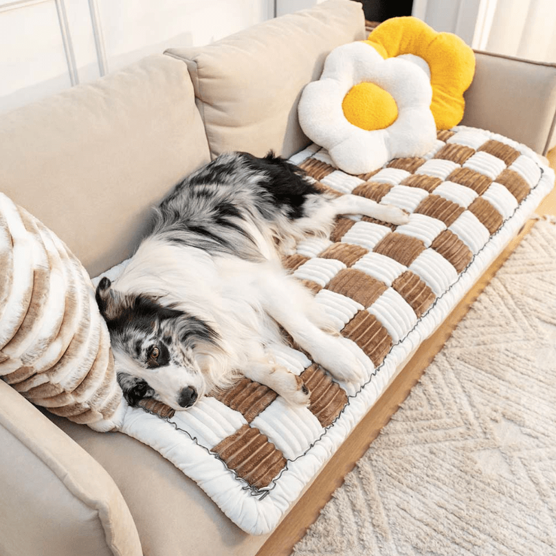 Paw-tector™️ Plush Couch Cover